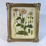 Framed Art