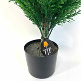 Tree /  Plant
