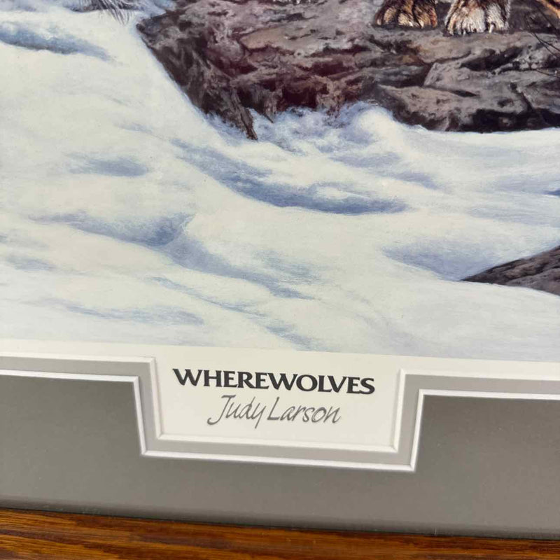 Judy Larson Framed Art
