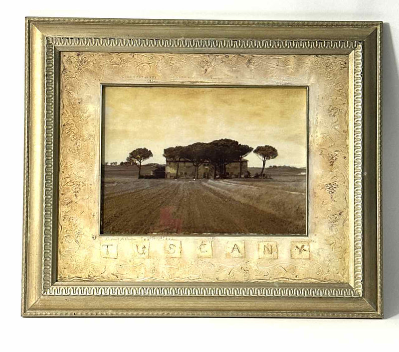 Richard Henson Framed Art