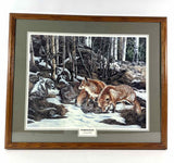 Judy Larson Framed Art