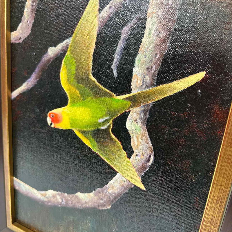Framed Art