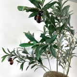 Floral Arrangement