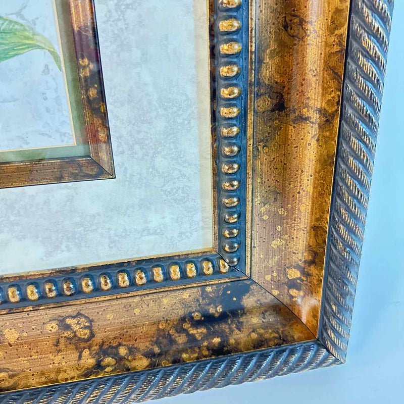 Framed Art