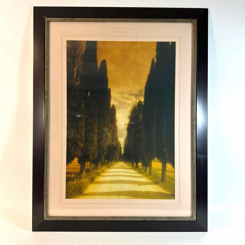 Framed Art