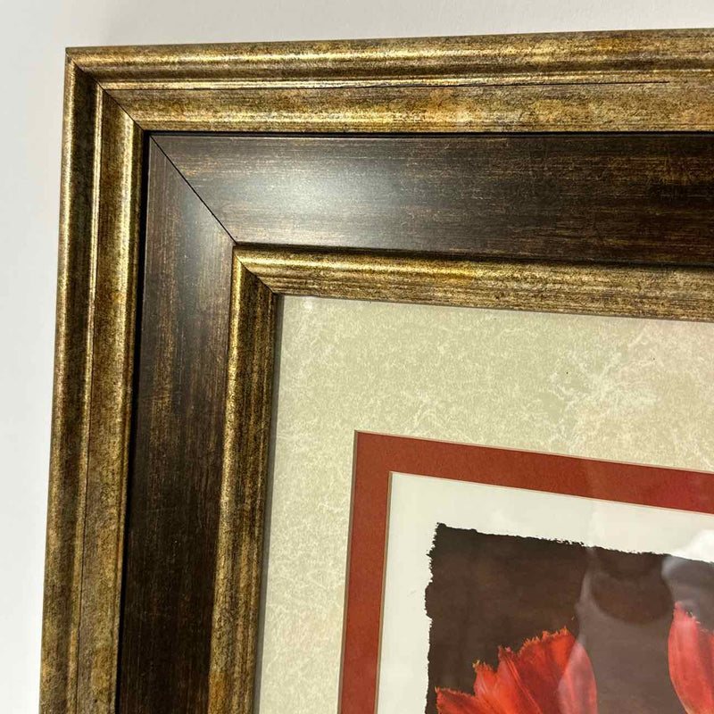 Framed Art
