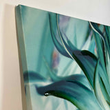 Lily Mourier Framed Art