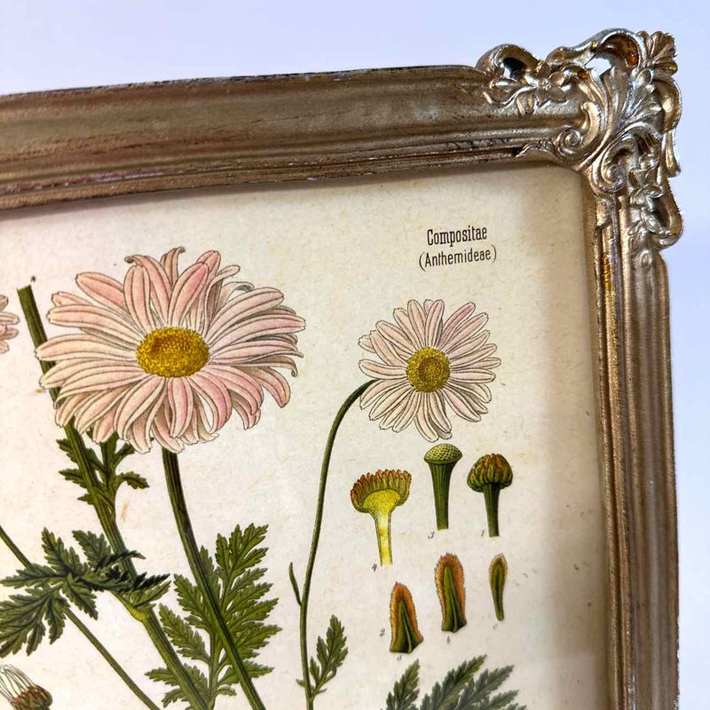 Framed Art